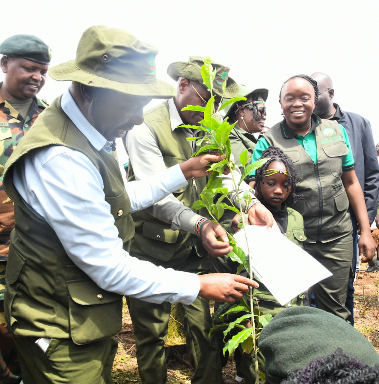 CS for Environment, Climate Change and Forestry, Dr. Deborah M. Barasa, alongside dignitaries and stakeholders, plants tree seedlings during the inaugural Mt. Elgon Day celebrations at Kaboywo–Kongit Forest Block, Bungoma County, on 7 November 2025, as part of the national #15BillionTrees restoration campaign.