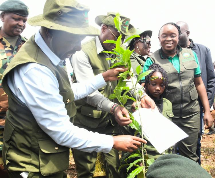 CS for Environment, Climate Change and Forestry, Dr. Deborah M. Barasa, alongside dignitaries and stakeholders, plants tree seedlings during the inaugural Mt. Elgon Day celebrations at Kaboywo–Kongit Forest Block, Bungoma County, on 7 November 2025, as part of the national #15BillionTrees restoration campaign.