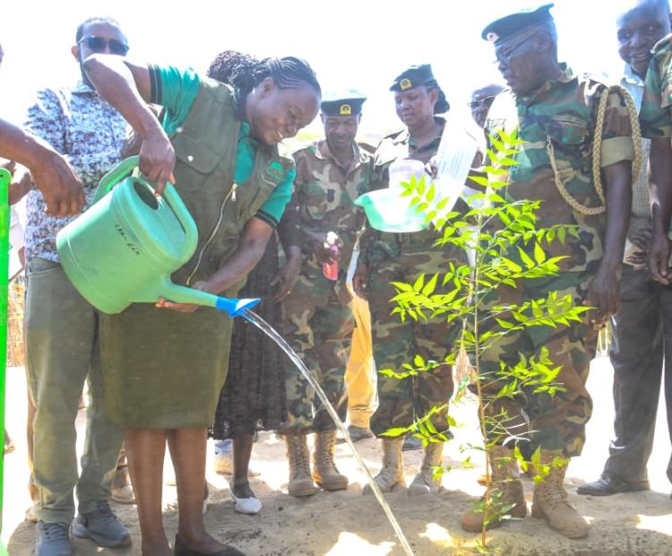 The Cabinet Secretary for Environment, Climate Change and Forestry, Dr. Deborah M. Barasa, launched two major national policy instruments at Nadoto Primary School in Turkana County aimed at restoring degraded drylands and strengthening climate resilience.