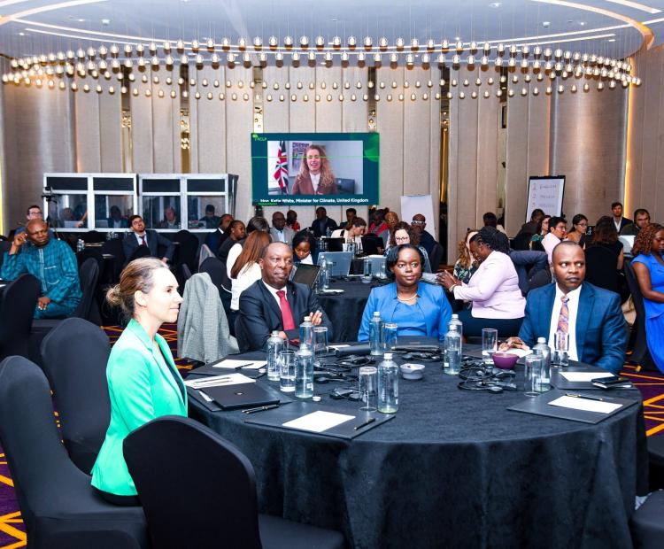 1st Ministerial Meeting and Third All-Member Gathering of the Forest and Climate Leaders' Partnership (FCLP) 