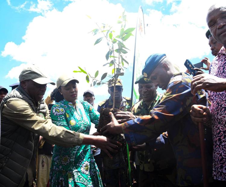 Tree planting exercise in Loita Forest, Narok County