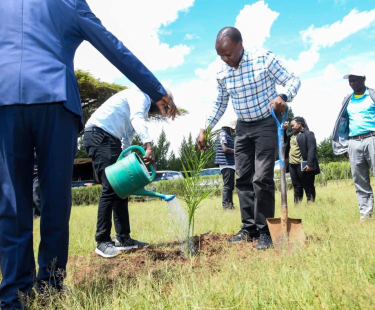 Secretary for Forest Development Mr. George Taurus leads a ceremonial tree planting during the Turbo Forest Public Participation Forum, marking the conclusion of the multi-agency inspection exercise. 