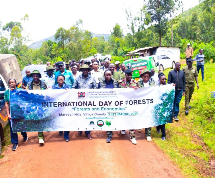 Forest and economies: Kenya marks International Day of Forest at Maragoli Hills Vihiga County